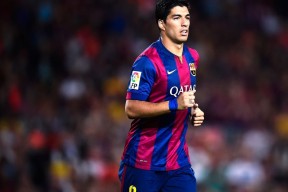 球迷狂欢：疯狂应援背后的动人故事，疯狂球迷冲进球场