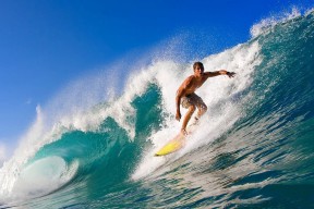 本菲卡球员伤愈复出，本菲卡实力如何